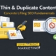 Thin & Duplicate Concrete Lifting Web Pages